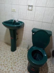 a bathroom with a green toilet and a sink at Volcán Barú Unique Studio Apartment in Nueva California