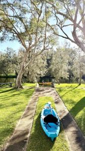 a blue boat sitting on the grass next to a tree at Lake front, Mid-century house with sauna 2 in Budgewoi +21 photos