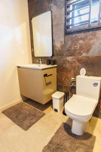 a bathroom with a toilet and a sink and a mirror at Lobby Apartments in Paramaribo +11 photos
