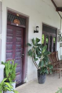 a front door of a house with a potted plant at surfing lion villa kudawella in Mawella