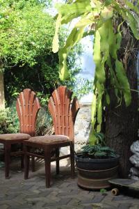 two wooden chairs and a table and a tree at surfing lion villa kudawella in Mawella
