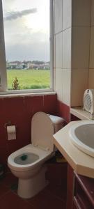 a bathroom with a toilet and a sink and a window at ΚΑΡΔΙΤΣΑ οικογενειακο in Karditsa +18 photos