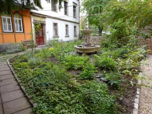 O grădină în afara Hummel Hostel - Historische Stadtvilla mit Garten