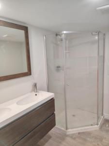 a bathroom with a shower and a sink and a mirror at Bright Spacious Room-3B in Halifax