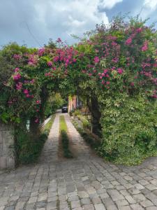 Gallery image of Loft São Joaquim in São Joaquim +49 photos