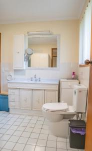 ein Badezimmer mit Toilette, Waschbecken und Spiegel in der Unterkunft Conway in Burrum Heads + 12 Fotos
