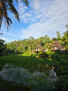 a resort with a rice field and palm trees at The Tirta Sari Villas in Tegalalang