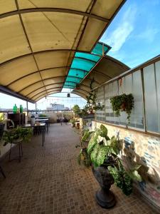 a patio with a bunch of plants in a building at Tamaris Hotel in Chiclayo