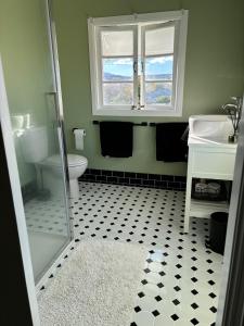 a bathroom with a sink and a toilet and a window at Marlay Cottage in Stanthorpe +9 photos