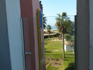 サアラ・デ・ロス・アトゥネスにあるApartamento Atlanterra Solの椰子の木を望む開口ドア