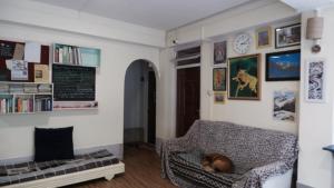 a dog sleeping on a chair in a living room at Tag Along 2 0 Hostel Gangtok in Gangtok