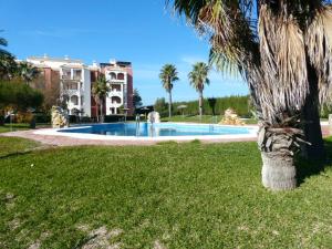 una palmera en el césped junto a una piscina en Apartamento Atlanterra Sol, en Zahara de los Atunes