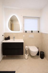 a bathroom with a sink and a toilet and a mirror at Ferienwohnung Südwind 3 in Küssaberg +9 photos