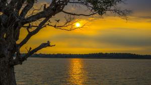 Gallery image of Serenity Lake Resort Yala in Tissamaharama