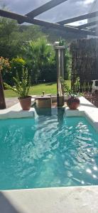 a swimming pool in a yard with potted plants at White lily in Montagu