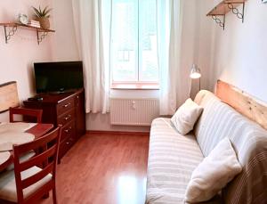 a living room with a couch and a table and a television at Apartmán Simi, Karlovice 251, 79323 Karlovice in Karlovice