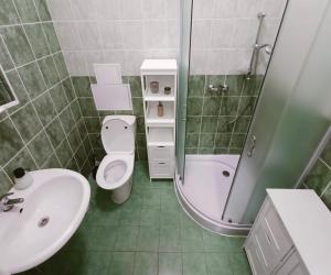 a bathroom with a sink and a toilet and a shower at Apartmán Simi, Karlovice 251, 79323 Karlovice in Karlovice +26 photos