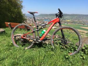 Ciclismo en B&B Stein am Rhein o alrededores