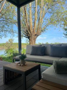 a porch with a couch and a table and a tree at Altair House in Mošorin +32 photos