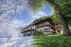 a house in the snow with a tree at Beim Talschuster in Scheffau am Wilden Kaiser