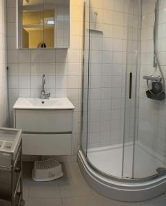 a bathroom with a shower and a sink at Buitenplaats Herkingen 25-A in Herkingen +6 photos