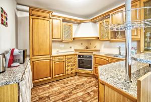 a kitchen with wooden cabinets and granite counter tops at U Jeřába - komplex B in Horní Věstonice
