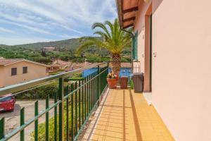 a balcony of a house with a palm tree at Marina Vip Anna in Procchio