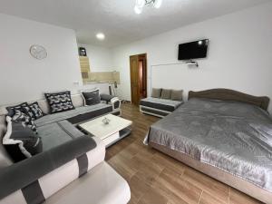a bedroom with a bed and a couch and a tv at belaapartmani in Bar