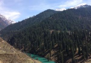 an aerial view of a mountain with trees and a river at Asaka Lodge in Kasol