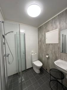 a bathroom with a toilet and a shower and a sink at Torghatten Lodge in Torget +88 photos
