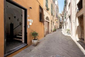 an empty alley with a potted plant in a doorway at La Volta Segreta in Albenga