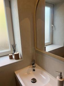 a bathroom with a sink and a mirror at Cocon nature - Appartement 1 chambre - 4 personnes in Berstett +10 photos
