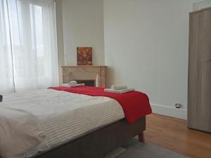 a bedroom with a large bed with a fireplace at Appartement de cachet de 63m2 in Moulins