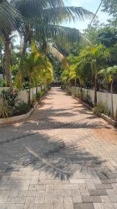 a walkway with palm trees in a park at Krishna vykundam guruvayur in Guruvāyūr