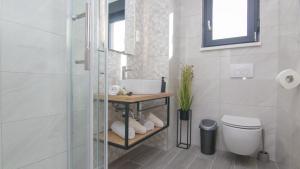 a bathroom with a shower and a sink and a toilet at Villa Dani by Villas Guide in Gostinjac +15 photos