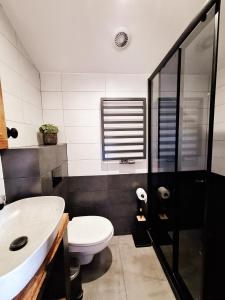 een badkamer met een wit toilet en een wastafel bij MX Pokoje in Lipno +11 foto's