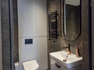 a bathroom with a sink and a toilet and a mirror at Apartaments Jaunyste Free parking, Self Check - in in Klaipėda