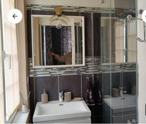 a bathroom with a sink and a mirror at Le gîte de la Roche in Putanges +20 photos