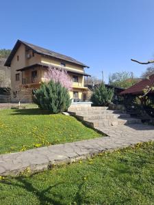 a house with a stone path in front of a yard at Vila Cristal in Târgu Ocna