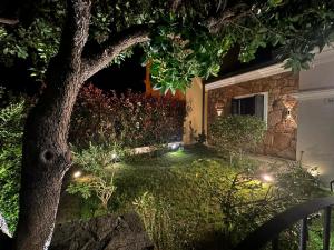 a backyard at night with a tree and lights at Casa Marisella in San Teodoro
