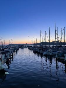 a group of boats docked in a marina at Finnenhaus 4 in Lübeck +5 photos
