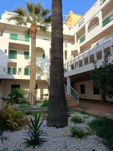 a building with palm trees in front of it at La conchiglia in Motta San Giovanni