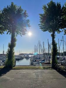 two trees in front of a marina with boats at Finnenhaus 6 in Lübeck +4 photos