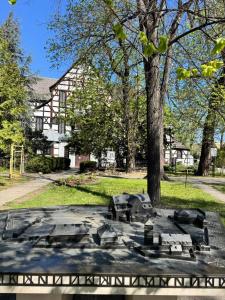 a bench in a park with a tree and a building at Apartament przy Kościele in Świdnica