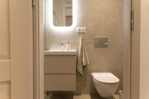 a bathroom with a toilet and a sink and a mirror at Starowiejska Residence 1860 in Miejsce Piastowe