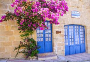 Gallery image of Bellavista Farmhouses Gozo in Xagħra