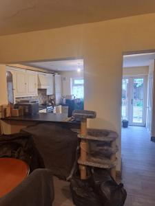 a living room with a kitchen and a cat tower at Dominic's Home in Seven Kings