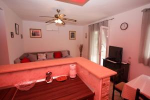 Μια τηλεόραση ή/και κέντρο ψυχαγωγίας στο Apartment Miljenko Tomić