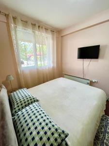 a bedroom with a bed and a flat screen tv at Juliya Apartment in Kavadarci