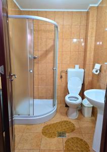 a bathroom with a shower and a toilet and a sink at Vila Pufu in Slănic-Moldova +40 photos